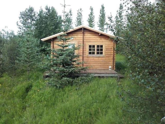 Arngrimslundur Log Cabin - Cabin 3 Villa Флудир Екстериор снимка